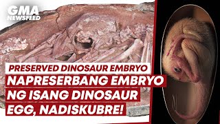 Preserved dinosaur embryo discovered  GMA News Feed [upl. by Judsen]