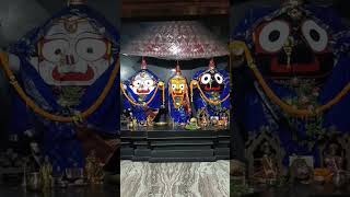 Dayana tulasi basuthau jayjagganath trendingshorts [upl. by Denbrook]