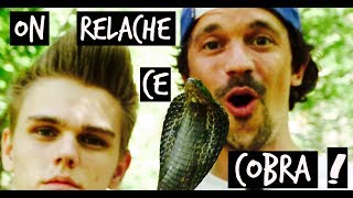 ON RELACHE UN COBRA CRACHEUR  HERPING TOOPET FEAT DAVIDSFEED 22 [upl. by Assenej]