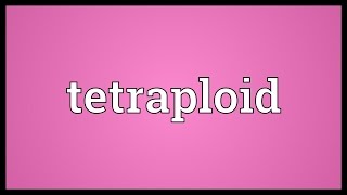 Tetraploid Meaning [upl. by Suolkcin]