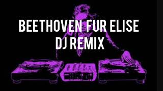 Beethoven Für Elise DJ Remix [upl. by Wehttam]