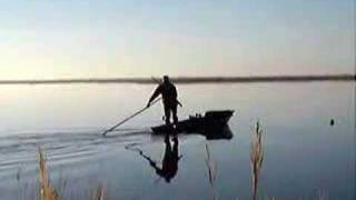 chasse aux canards camargue duck hunting [upl. by Emma]