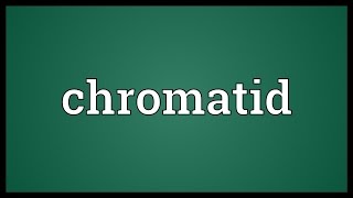 Chromatid Meaning [upl. by Novert]