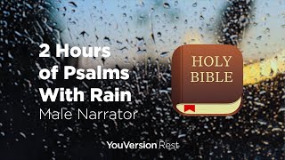 Bible Verses with Rain for Sleep and Meditation  2 hours Male Narrator [upl. by Oringa368]