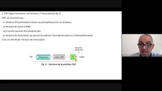 Récepteurs associés à des tyrosine kinases  Master  Biologie et santé [upl. by Cerelia]