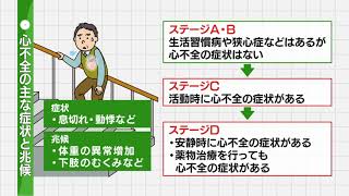 【心不全の原因疾患】社会医療法人社団愛心館 愛心メモリアル病院 [upl. by Charline]