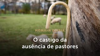 Homilia Diária  Por que precisamos de pastores Sábado da 1ª Semana do Advento [upl. by Anirehc]