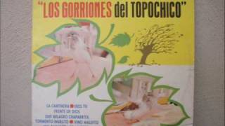 Los Gorriones del Topochico Tormento ingrato [upl. by Wren]