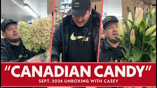 JFTV New quotCanadian Candyquot CanadaGrown Flowers Unboxing Sep 2024 with Casey [upl. by Joly]