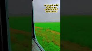 Panchi nadiya pawan ke jhoke tranding train lovemusic song [upl. by Philippe518]