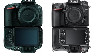 Nikon D5500 vs Nikon D7200 [upl. by Sybilla]