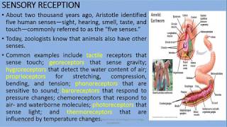 Sensory Reception invertebrates Chemoreceptors Georeceptors amp Baroreceptors [upl. by Ylas]