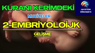 KURANI KERİMDEN MUCİZELER 2 EMBRİYOLOJİK GELİŞME [upl. by Goggin]