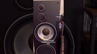 Audio Test  DOUK A100 Subwoofer Amplifier 2024 bass amplifier powerful music classdamplifier [upl. by Drahnreb422]