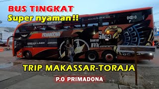 BUS MAKASSAR  TORAJA PALING DICARI PO PRIMADONA DOUBLE DECKER [upl. by Emolas440]