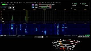 Hawaje WH7T na 15 metrach z dnia 05102024 [upl. by Dorothy]