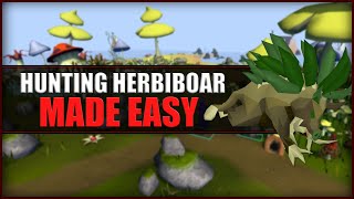 Quick Guide to Hunting Herbiboar in OSRS  Hunter Guide  Hunters Rumours [upl. by Ezalb]