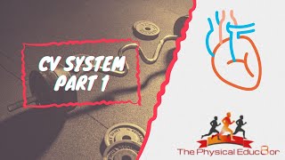 Physical Educ8or IB SEHS Cardiovascular System Part 1 [upl. by Amend]