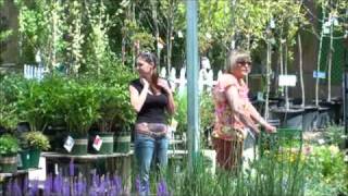 Watters Garden Center in Springwmv [upl. by Dygall]