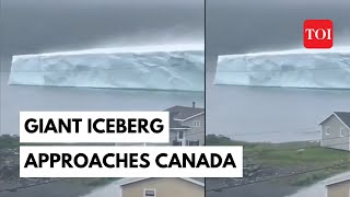 Canada Iceberg Giant iceberg near the coast of Newfoundland Canada amazes netizens [upl. by Bernardo]