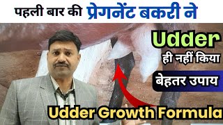 सभी बकरियों की गादी बढ़ाने का तरीका Bakri ka Udder kaise badhaye pregnant goat udder development [upl. by Ray882]