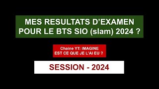 Quels sont mes résultats du BTS SIO pour la session 2024  Chaine IMAGINE [upl. by Ellenrahc]