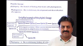 First Year Biology  Chapter 1  Part 6  Phyletic Lineage [upl. by Rovner66]