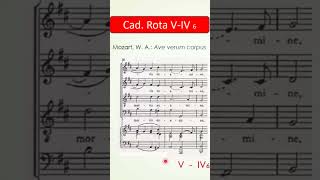 😲 Cadencia Rota en Ave Verum musica analisismusical music tutorialesmusicales piano [upl. by Eolanda650]