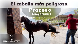 🐴🧨 EL CABALLO MÁS PELIGROSO ⚡💣  Resumen del proceso  Temporada 1  Doma racional [upl. by Halette]