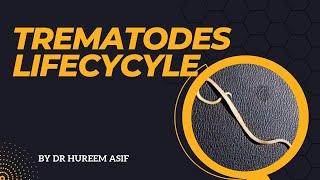 Trematodes life cycle  Veterinary parasitology  Helminths [upl. by Ellerahc]