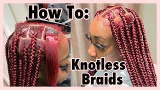 How To Refresh Knotless Braids and Box Braids  NO REBRAIDING [upl. by Ellimaj]