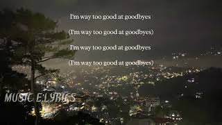 Too Good at Goodbyes lyrics  Sam Smith [upl. by Sisely]