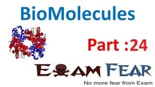 Chemistry Biomolecules part 24  DNA amp RNA nucleotides amp nucleosides CBSE class 12 XII [upl. by Twedy]