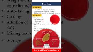 Blood Agar Enriched and differential media [upl. by Selegna]