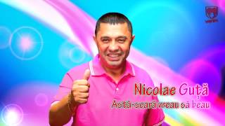 Nicolae Guta  Astaseara vreau sa beau [upl. by Ynneg465]