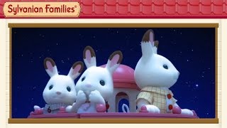 Star Gazing in the Lighthouse  Sylvanian Families Cartoon [upl. by Immaj]