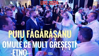 Puiu Fagarasanu🛑Omule ce mult greșești💯Live 2024 [upl. by Heather]