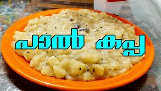 Paal Kappa Recipe Malayalam  പാൽ കപ്പ  paalkappa cooking [upl. by Nirrok]