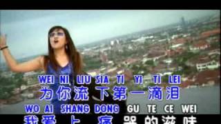 DI YI DI LEI 第一滴泪  Huang Jia Jia 黄佳佳 [upl. by Eniak]