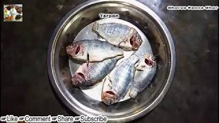 Telapiya Mach Diye Kacur Mukhi Ranna  Kochur Mukhi Curry with Fish [upl. by Anigar]