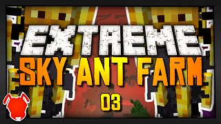 Extreme Sky Ant Farm  Ep 3  NONSTOP TENSION [upl. by Atnoled]