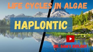 Life Cycles in Algae part1 Haplontic [upl. by Aubrie]