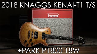 quotPick of the Dayquot  2018 Knaggs KenaiT1 TS and Park P1800 18w [upl. by Onitnevuj]