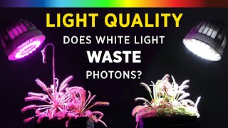 Grow Lights 101 Best Plant Growth Spectrum Color White vs RedBlue LED  What is PAR amp ePAR Light [upl. by Eahsed]