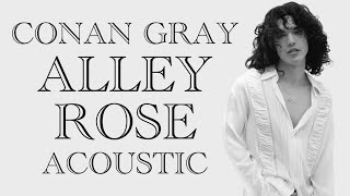 Conan Gray  Alley Rose Acoustic [upl. by Aicissej416]