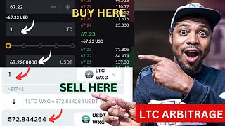 Crypto Arbitrage Trading Opportunity With LTC amp USDT  Crypto Arbitrage Review [upl. by Elawalo]