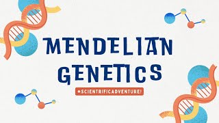 MENDELIAN GENETICS  Science 8 Quarter 4Module 3 [upl. by Laekcim]