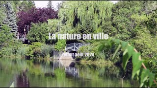 Août 2024  La nature en ville  Une vidéo de 2 minutes 41 [upl. by Kosse330]