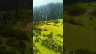 Most Beautiful Valley  Gabin Jabba  Swat Valley  KPK [upl. by Nahor]