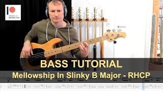 Mellowship Slinky in B Major  Red Hot Chili Peppers  Bass Tutorial Sheet  TABs [upl. by Tiana]